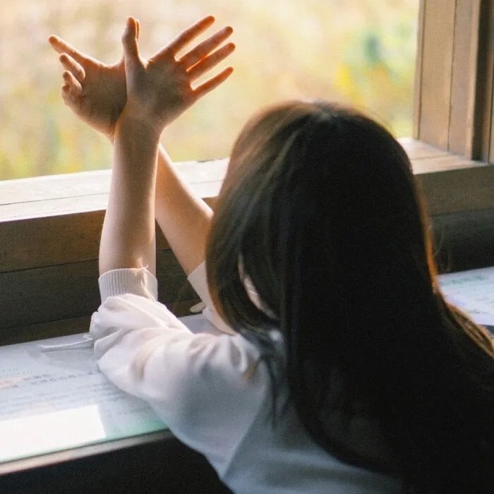 触手可及的温暖